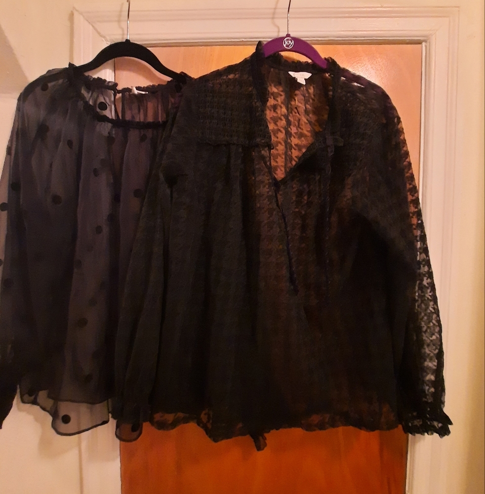 Cato elegant Black Sheer Women's Tops  14/16